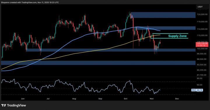 Bitcoin Price Analysis: BTC Still at Risk of a Sub-$100K Drop Amid a Weak Bounce