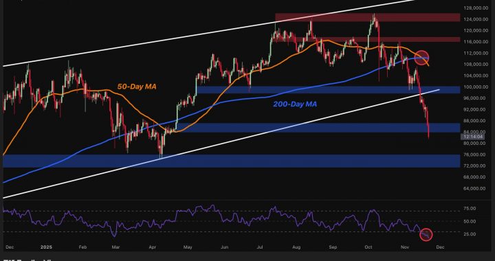 Bitcoin Price Analysis: Will BTC’s Brutal Sell-Off Stop After Drop Below $81K?
