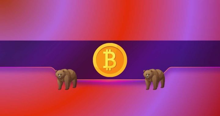 BTC Plunges to a 6-Month Low – More Blood Ahead or Bottom Near?