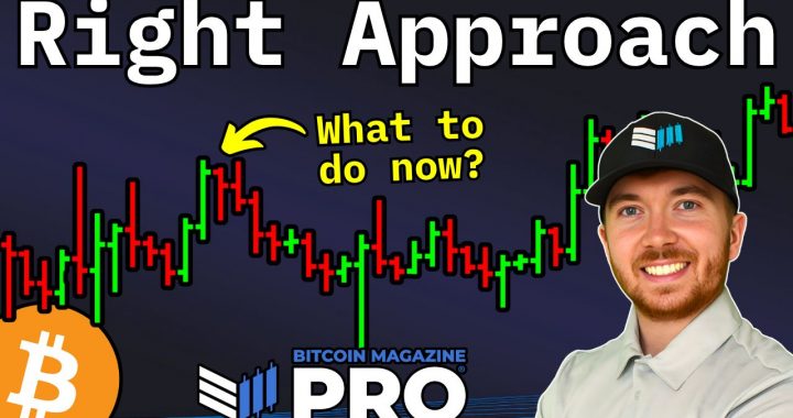 Bitcoin Price Dip Or New Bear Market?