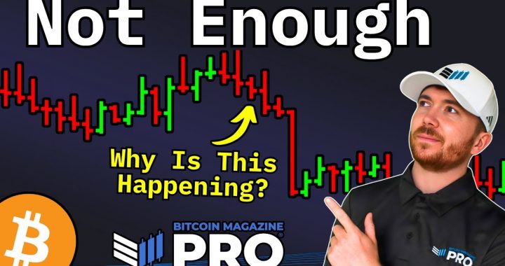 Bitcoin Price Slump Could Spark Next Bull Run