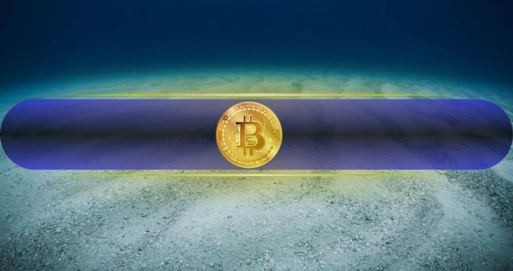 Has Bitcoin Really Bottomed? Analysts Weigh In 