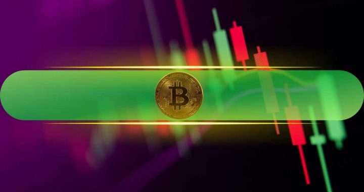 Crypto Markets Add $130B as Bitcoin Surges to Weekly Highs Above $91K: Market Watch