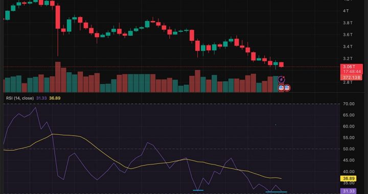 Crypto News Today, November 19: Crypto Price Chart Showing a Sign of Bottom as Bitcoin and Major Alts Holding
