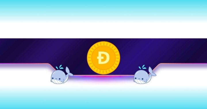 Dogecoin Panic? 7,000,000,000 DOGE Moved in Just 1 Month