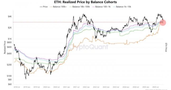 Ethereum Is Sitting On Its Most Critical On-Chain Support Level — A Rally Emerging?