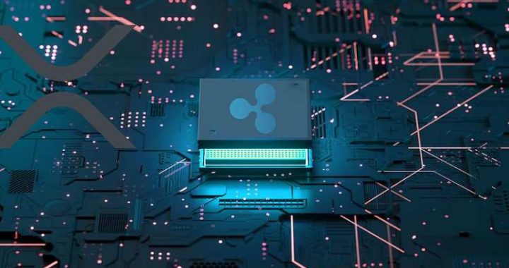 Ripple Exec Addresses Tax Issue On XRP Ledger, Where Does It Go?