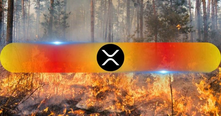 Ripple (XRP) Profit Share Collapses to 58.5% – Could a Major Correction Be Looming?