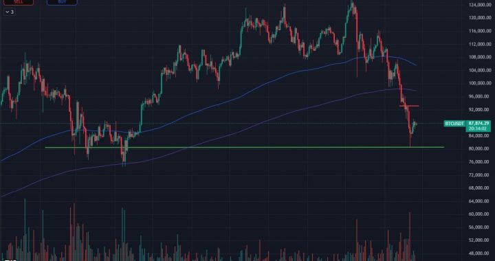 Will Bitcoin Price Hodl Support? BTC USD Price Prediction, 3 Reasons Why The Crypto Market is Crashing Explained