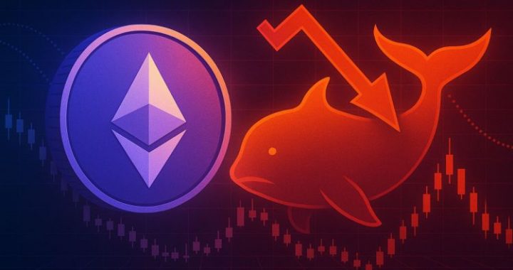 Ethereum ICO Whale Sells 20,000 ETH ($58M), Raising Questions Over Market Timing