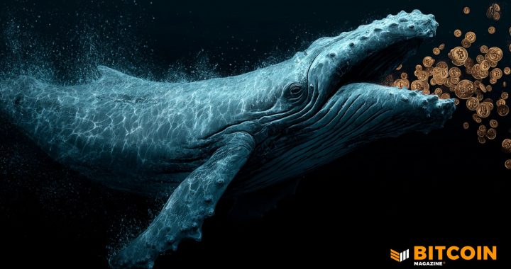VanEck: Mid-Cycle Traders Driving Bitcoin Selloff While Long-Term Whales Keep Holding