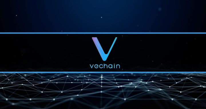 VeChain Denies Bybit’s Explosive ‘Hidden Freeze’ Claim: 2019 Blocklist Was Not a Secret Kill Switch