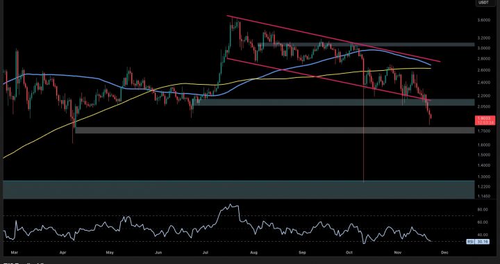 Ripple Price Analysis: What’s Next for XRP as Weakness Against BTC and USD Extends