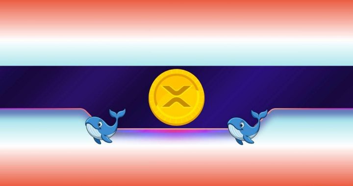 1,400,000,000 XRP Sold in Less Than a Month: What Are Whales Signaling?
