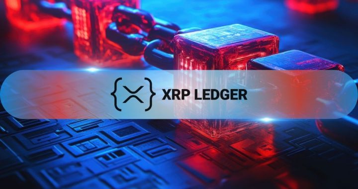 XRP Ledger Sees 8.9% Rise in Daily Transactions, NFT Activity Surges in Q3