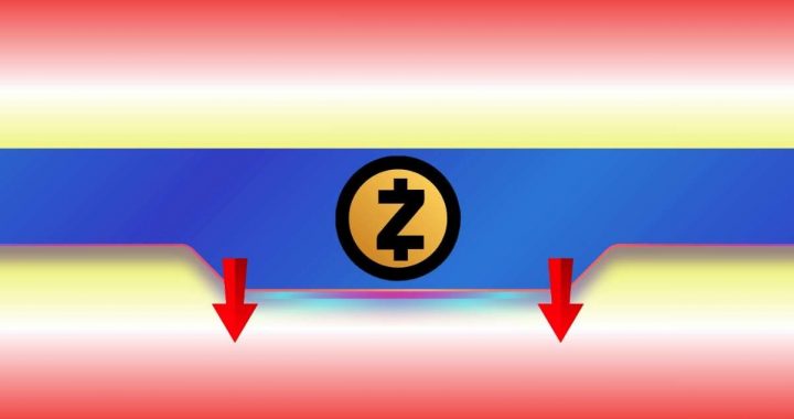 Zcash (ZEC) Plummets 26% in 24 Hours: To Sell or Not to Sell?