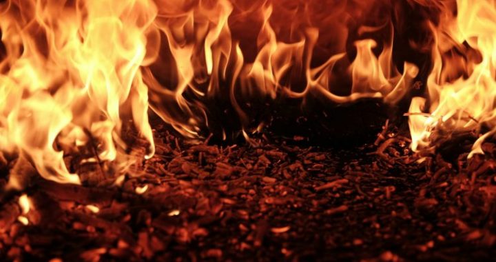 XRP On Fire: Over 21,000 New Wallets Appear In 48 Hours