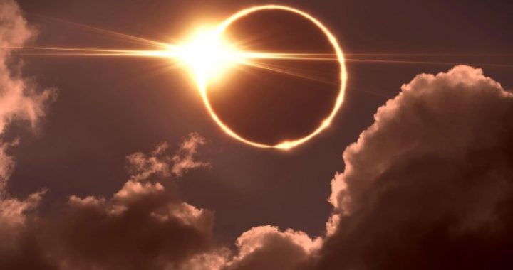 Bitcoin To Eclipse Gold, Eric Trump Says—Calling BTC The ‘Greatest Asset’ Ever