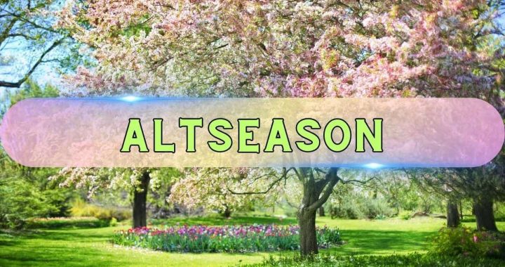 Analysts Believe Altseason Is Loading Despite November’s Brutal Losses