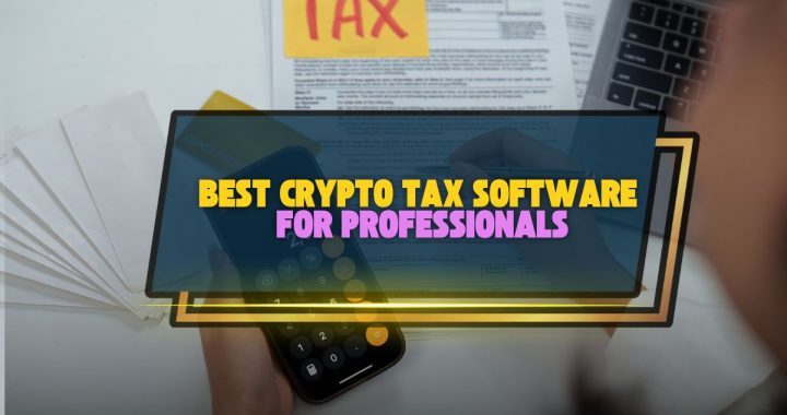Best Crypto Tax Software for CPAs and Tax Professionals 2025