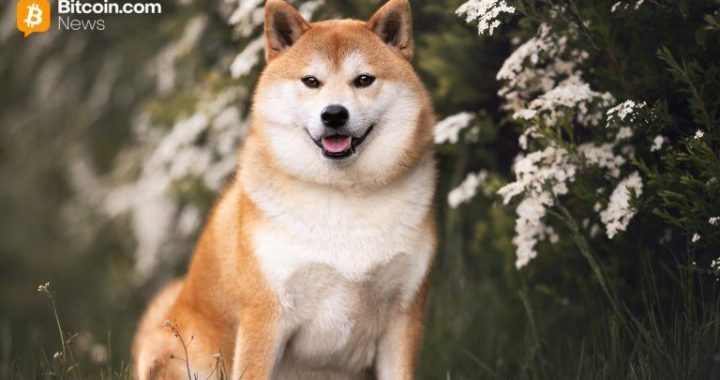 Bitwise Debuts Dogecoin ETF on NYSE With Fee Incentives and Mainstream Appeal