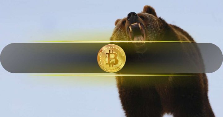 What Crashed the Crypto Market on November 4 and Should You Worry?