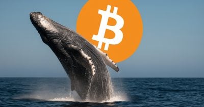 Bitcoin OG offloads 13,004 BTC to Kraken impacting market