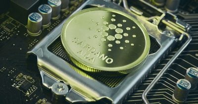 Cardano network recovers after malformed transaction triggers chain partition