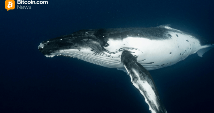Early Bitcoin Holder Wraps up $1.3B Selloff With Fresh $230M Kraken Move