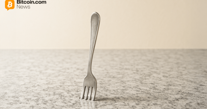 Developer Flags Major Risks in Proposed Bitcoin Reduced Data Soft Fork