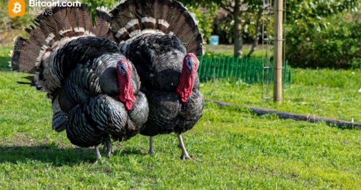 Here’s Why Bitcoin Is Rallying Just Before Thanksgiving