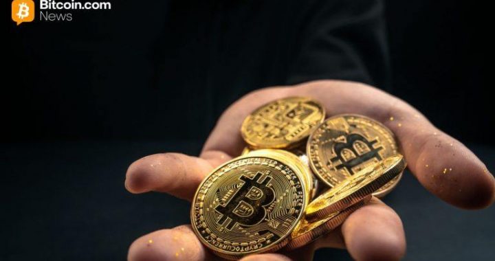 Legacy Wallets Drive Bitcoin’s November Pullback