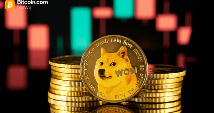 Meme Coin Meltdown: Billions Go Poof as the Joke Tokens Stop Being Funny