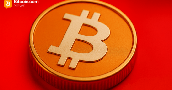 Bitcoin Price Watch: Slipping South With No Safety Net in Sight