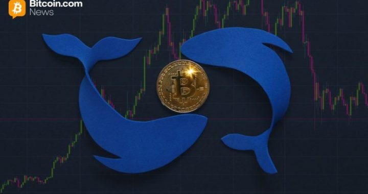 Bitcoin Tumbles Below $100K Amid Sell-Off by Long-Term ‘OG’ Whales