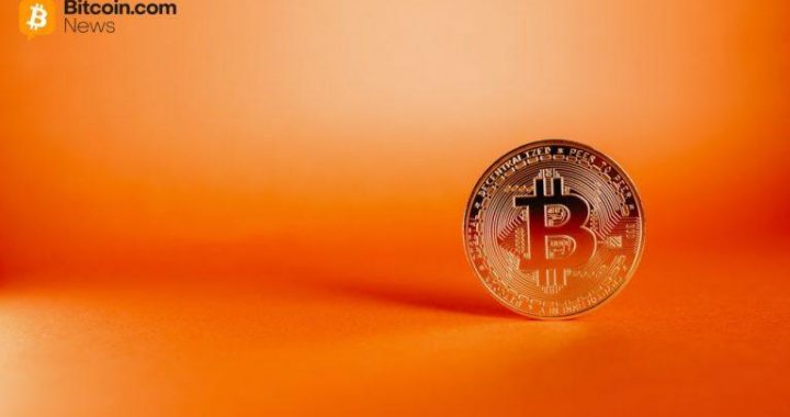 Brazilian Bitcoin Company OranjeBTC Repurchases Shares Amid Stock Slump
