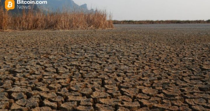 Mike McGlone’s Scorched Earth Prediction: $56K Bitcoin in the Horizon