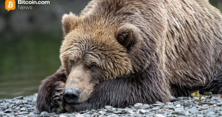 Van Eck: Investors Shed Bitcoin Bracing for a Bearish 2026