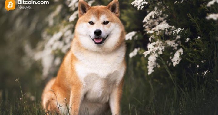 DOGE Launches Lazarus Signal, Rebukes Disbandment Reports