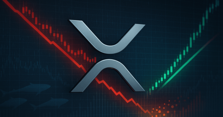 XRP Jumps To $2.56 Despite 240% Increase In Profit Taking