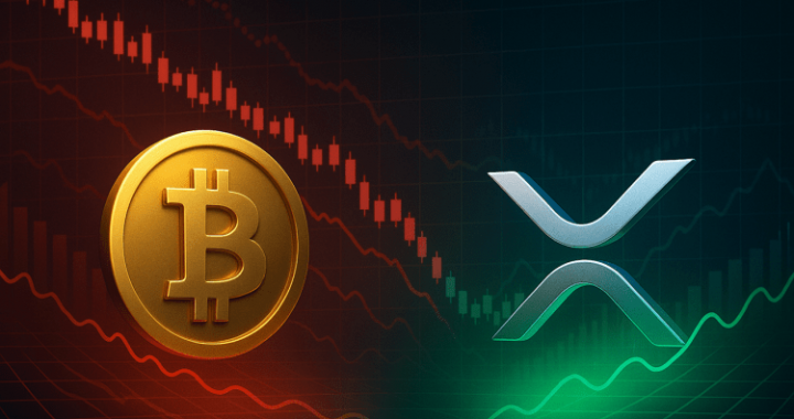 XRP, Bitcoin Now In “Good Buy Zone,” Says Analytics Firm