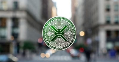 XRP ETFs boost holdings to $915M after new purchases