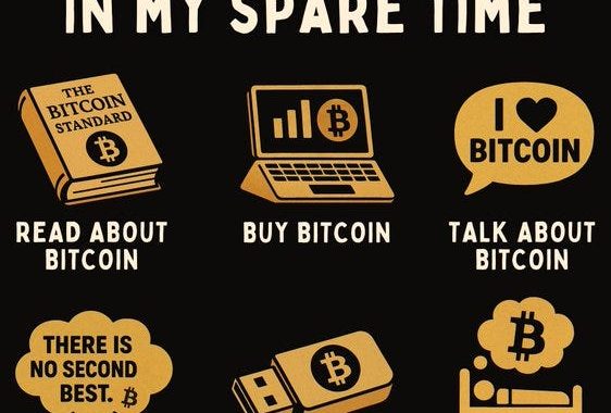 Market Cap Crashes to $2.93T — My DeFi Strategy Holds Strong 11 Vaults