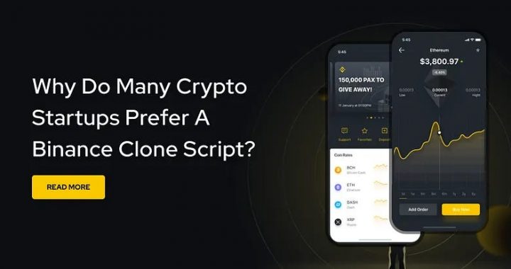 Why Do Many Crypto Startups Prefer A Binance Clone Script?