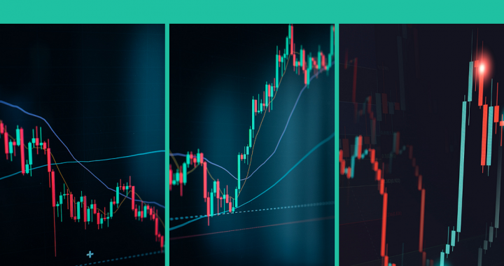 What We Achieved Together In 2025