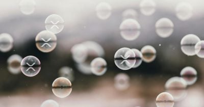 XRP ETFs see steady inflows as total assets hit $1.2B