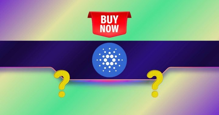 Cardano (ADA) Plunges by 8% Daily but This Important Indicator Flashes the Buy Signal