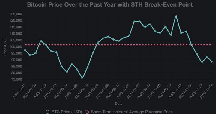 Why Bitcoin Rally Is Hitting a ‘Brick Wall’ at $93,000