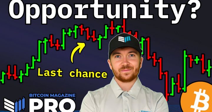 Bitcoin Treasury Companies Are Undervalued