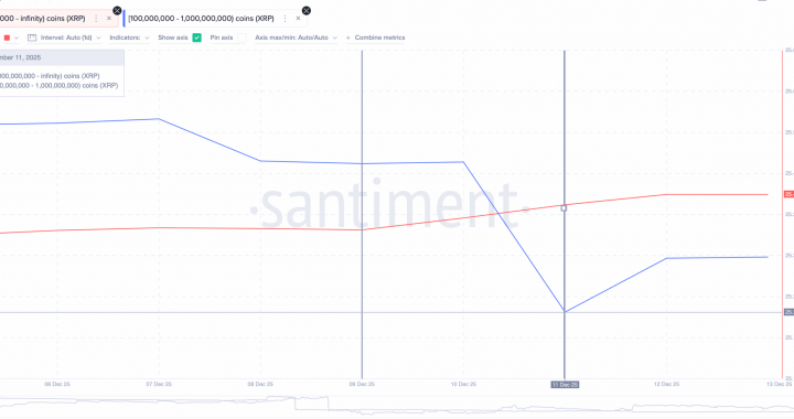 XRP Price Prediction: Is XRP Headed for a Rebound or Breakdown as Whale Accumulation Grows?